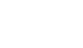 AIG logo